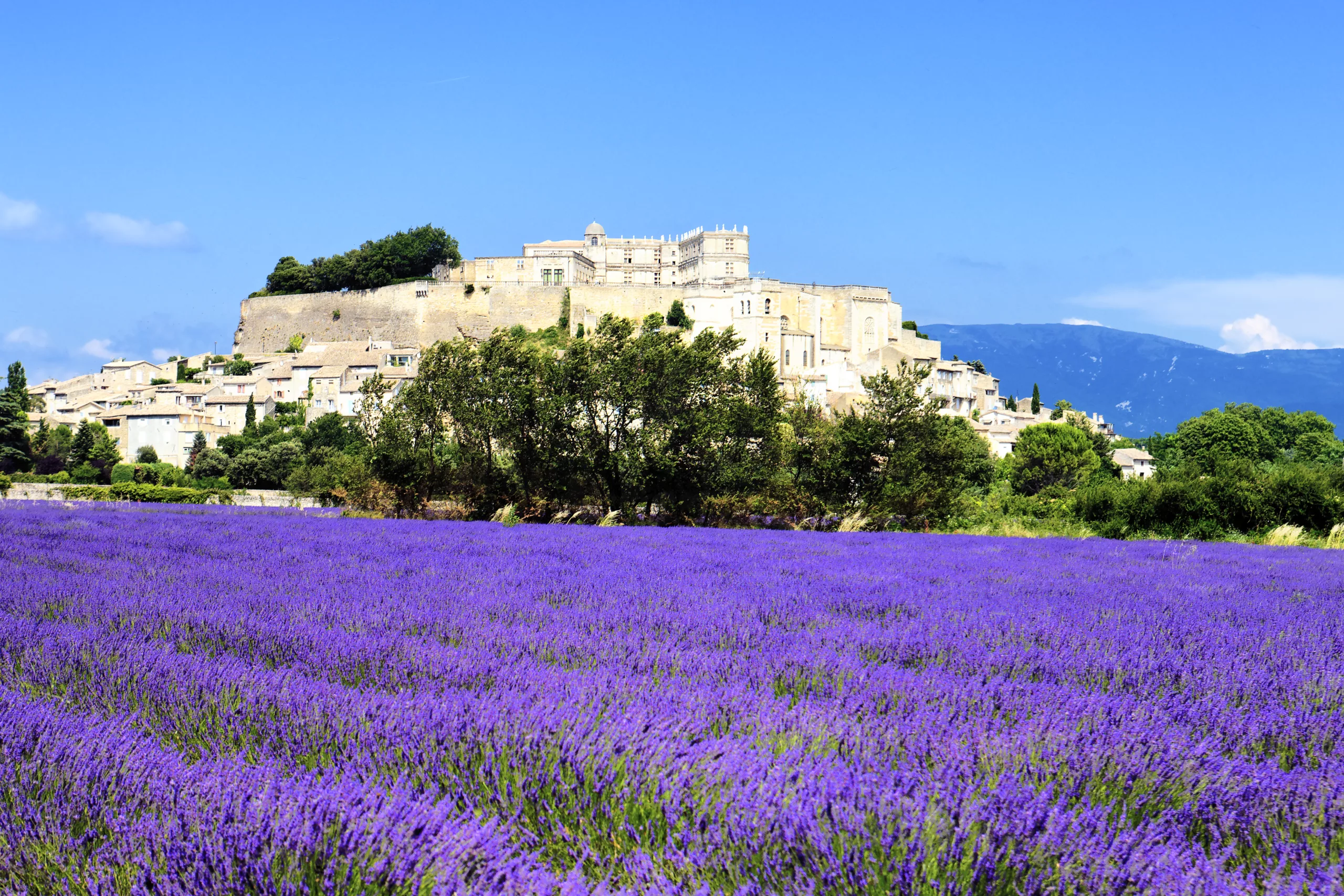 Provence avec champ de lavande et village